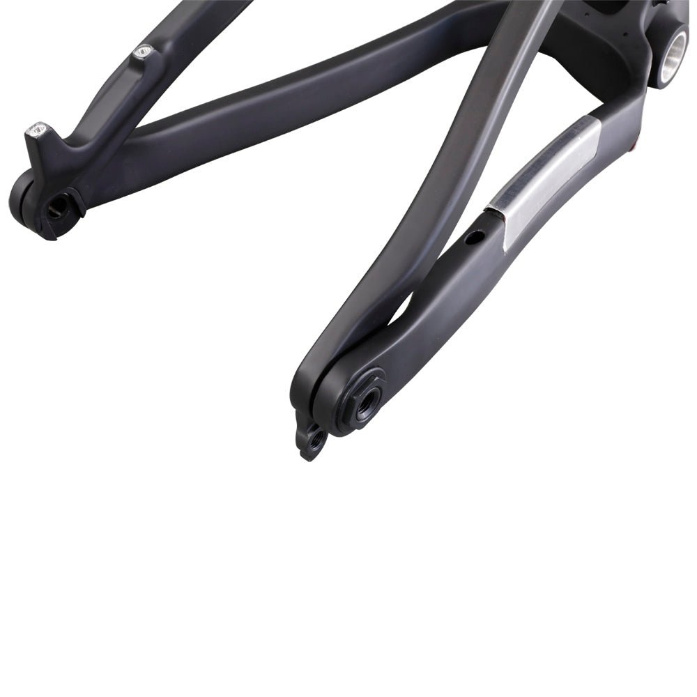 Fat Bike Frame SN04