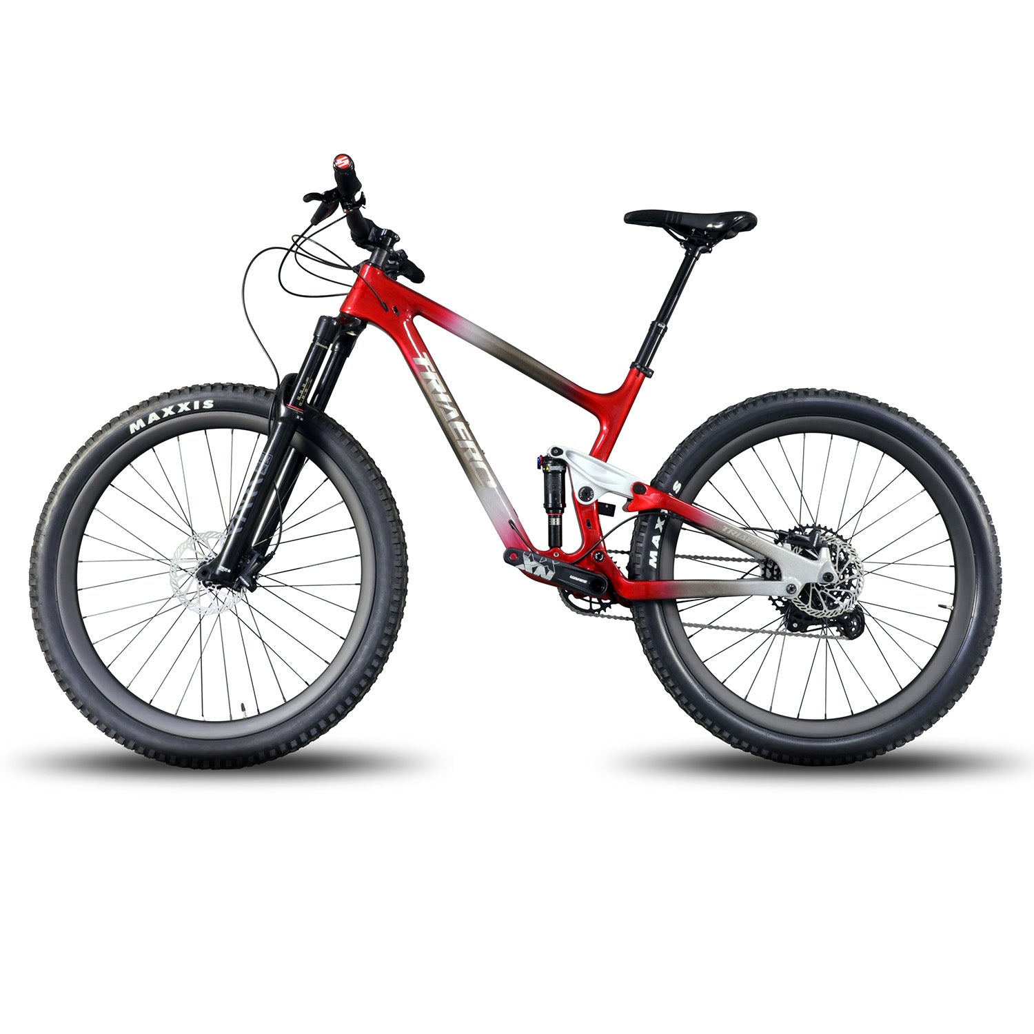 Trail Bike P1-Custom Paint-Sram NX EAGLE - Triaero