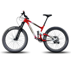 Trail Bike P1-Custom Paint-Sram NX EAGLE - Triaero